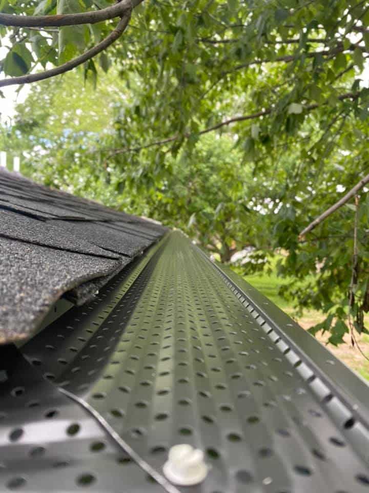 Roof with a leaf protection